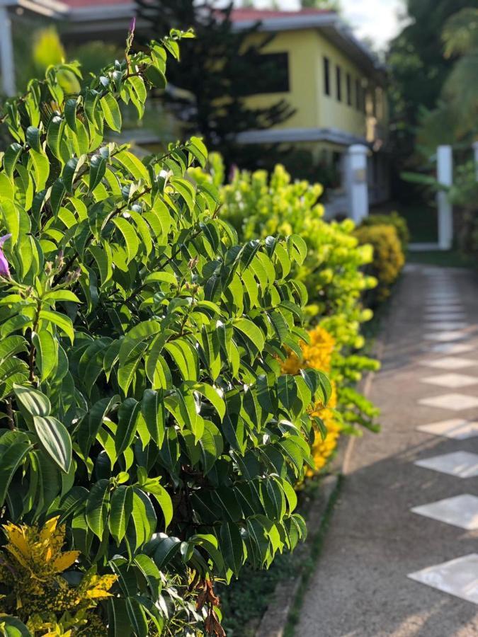 Sunshine Hotel 小玉米岛 外观 照片
